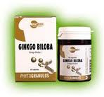 plantas en comprimidos GINKO BILOBA 45 caps
