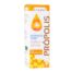 sistema inmunológico PROPOLIS EXTRACTO CON ECHINACEA S/ALC 50 ML